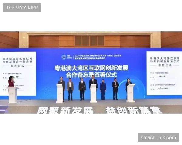 梅里诺技术驱动全面创新，未来发展潜力备受关注